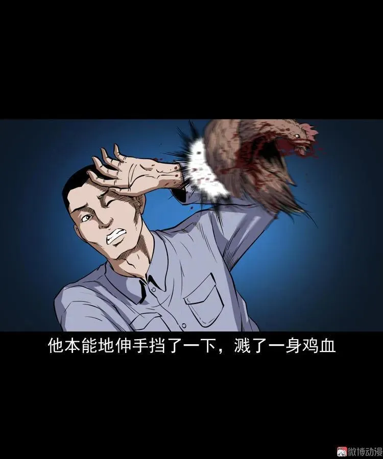猫老太事件90
