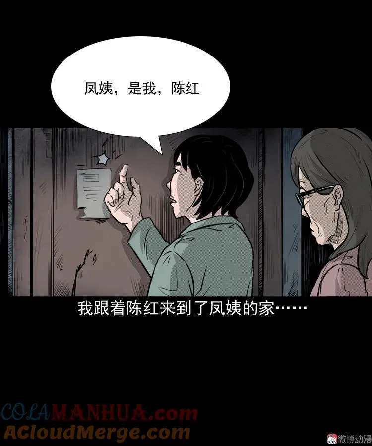驻颜汤27