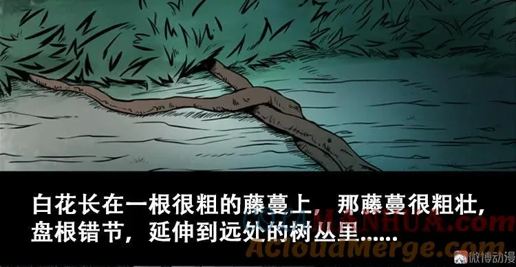 北瓜（上）15