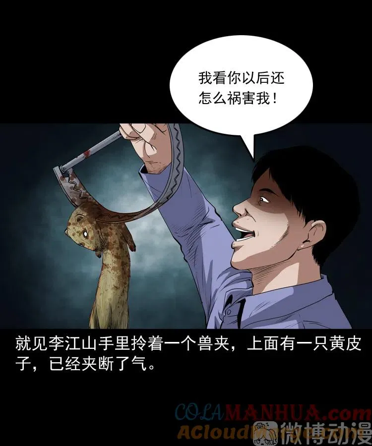 仙家异闻12