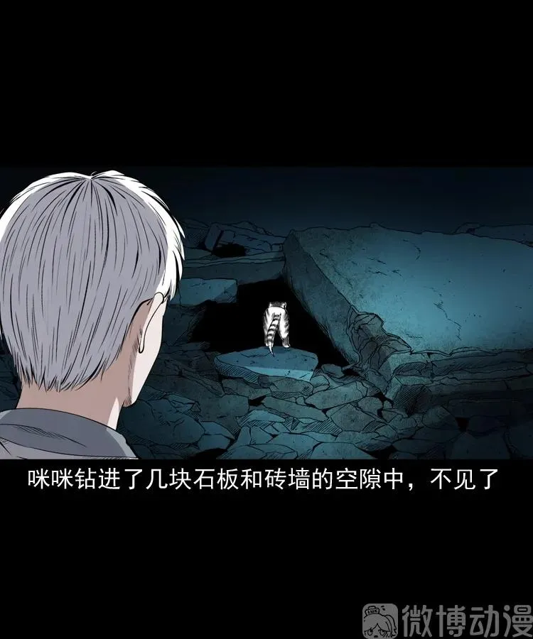 白头翁之猫灵83