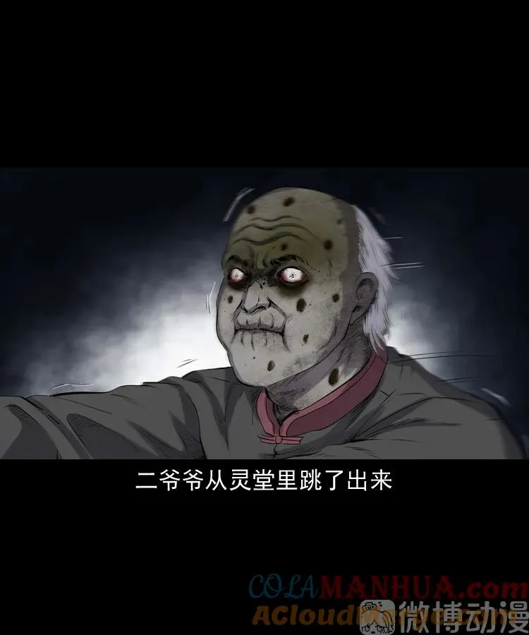 白头翁之诈尸下集48