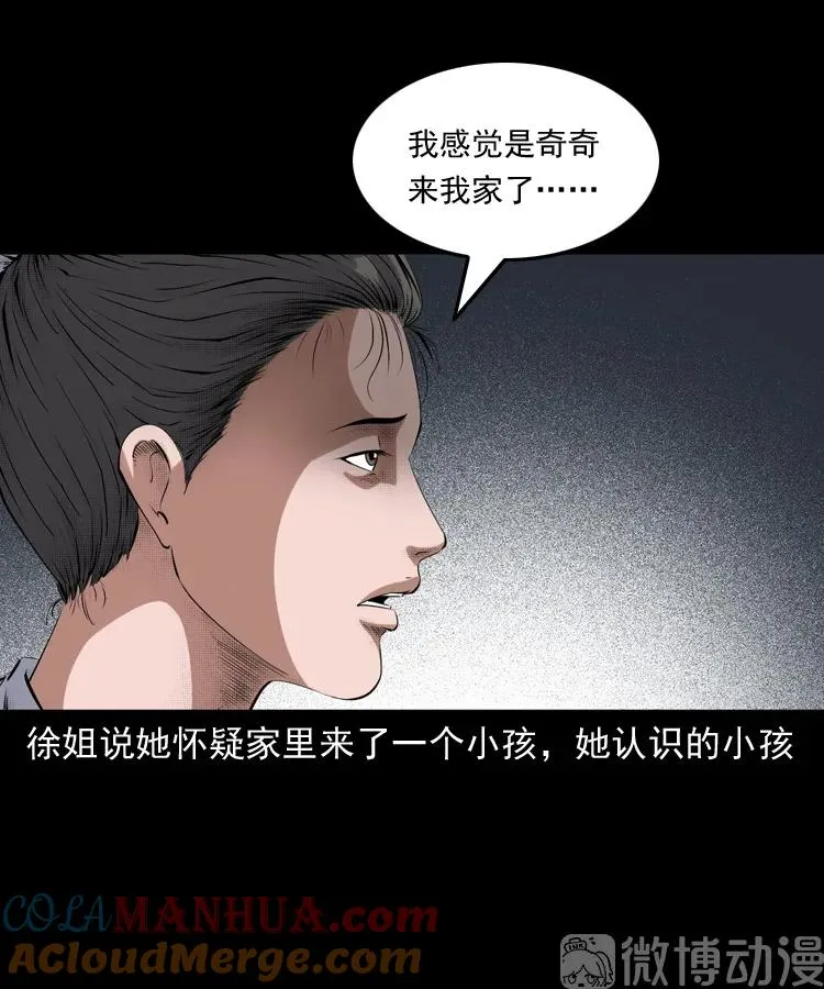 白头翁之猫灵20
