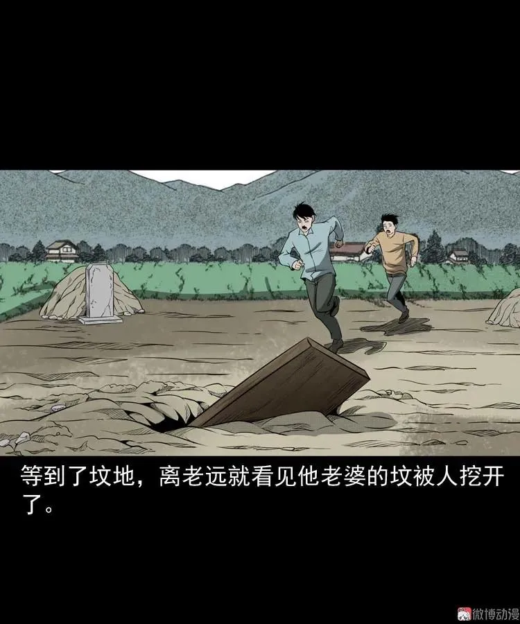 亡妻的下落17