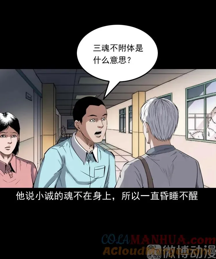 白头翁之抢魂（上）30