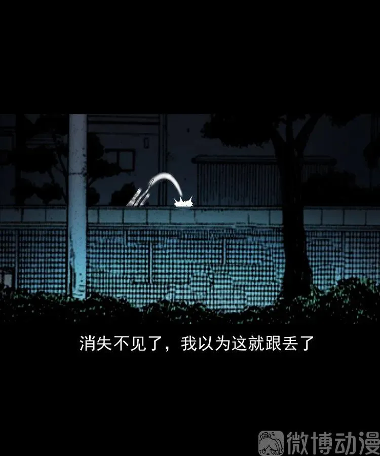 白头翁之猫灵75