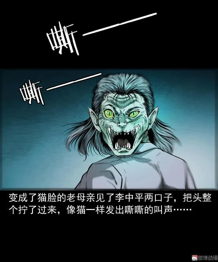 猫老太事件43