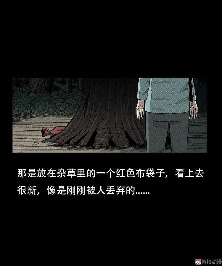 红布袋13