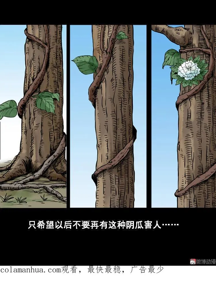 北瓜（下）97