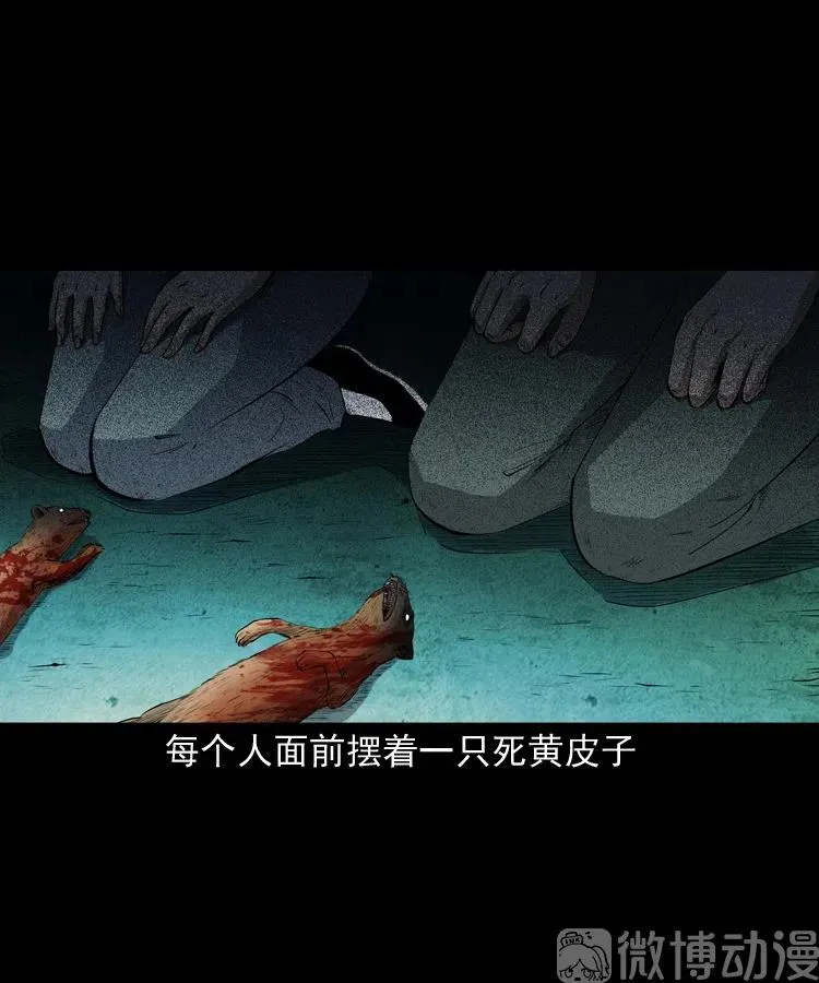 仙家异闻25