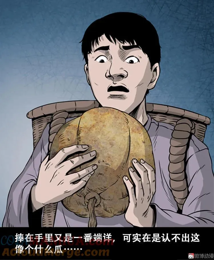 北瓜（上）24