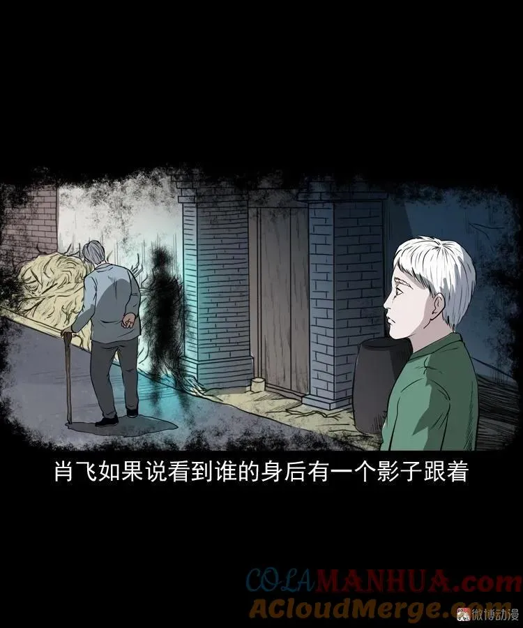 白头鬼（一）15