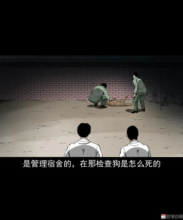鬼火82