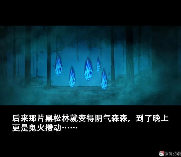 北瓜（上）47