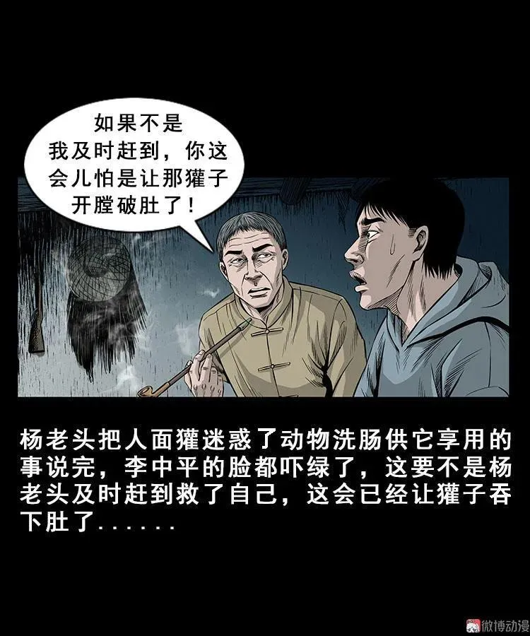 人面獾43