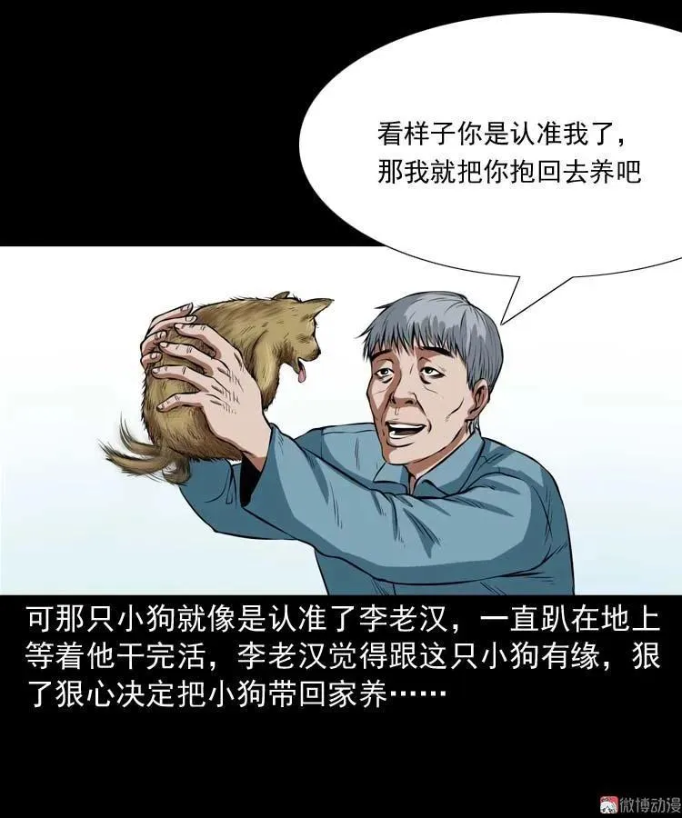 狗25