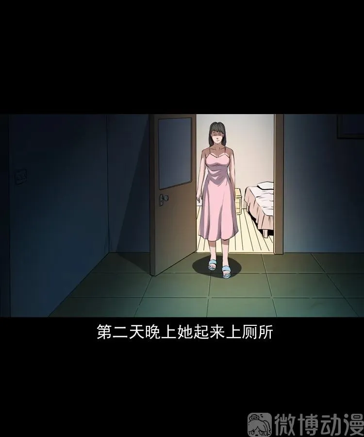 白头翁之猫灵38