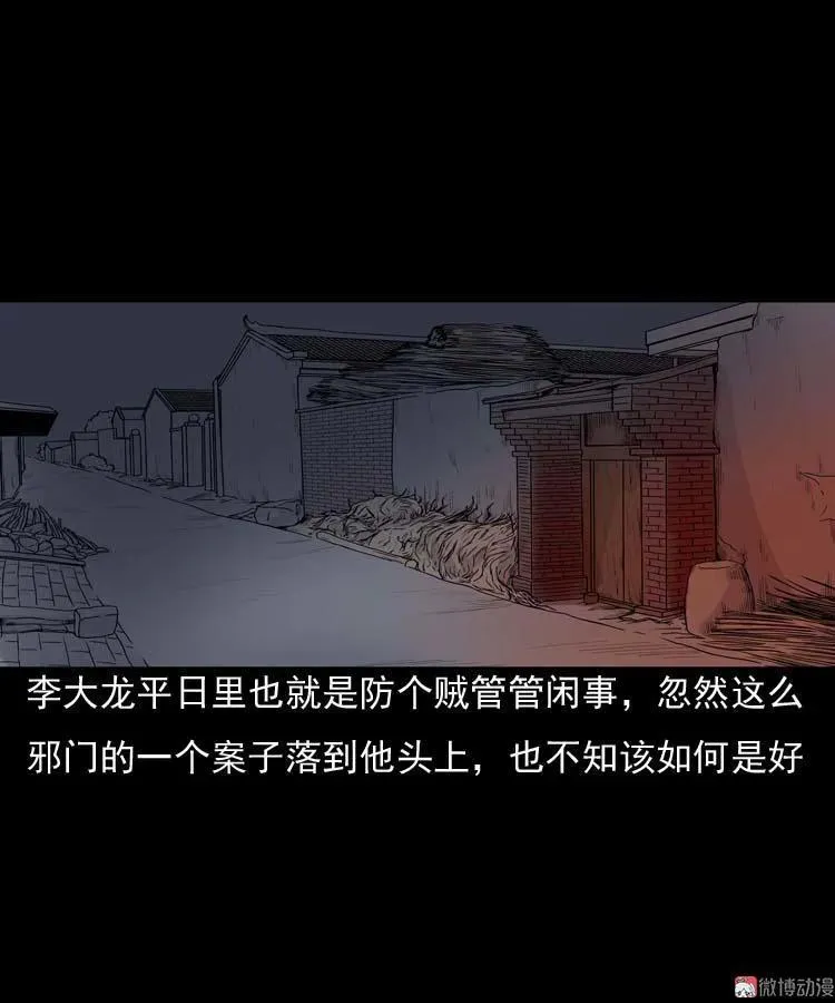 稻草人29