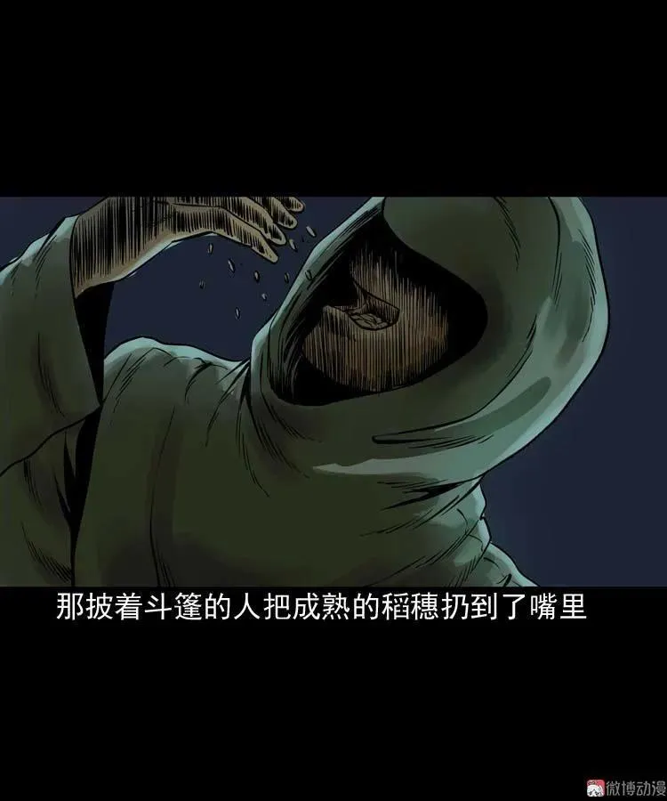 稻草人41