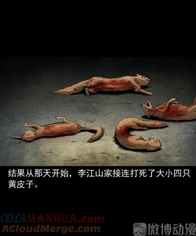 仙家异闻18