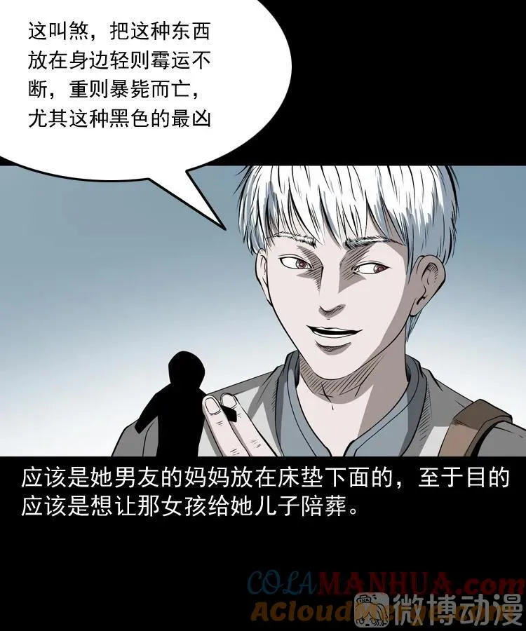 白头翁之恶咒66