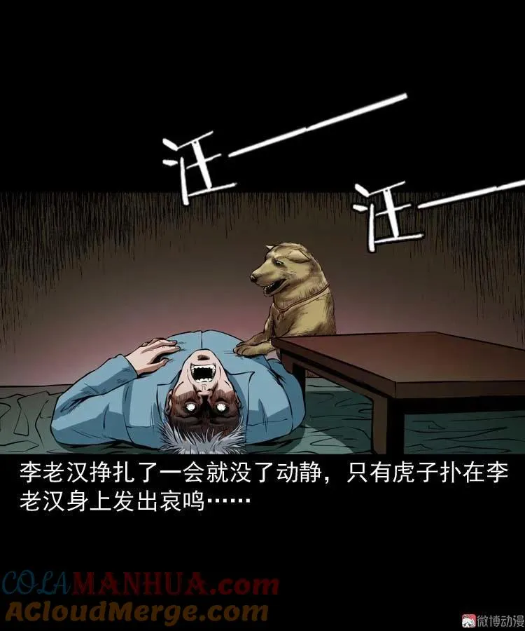 狗42