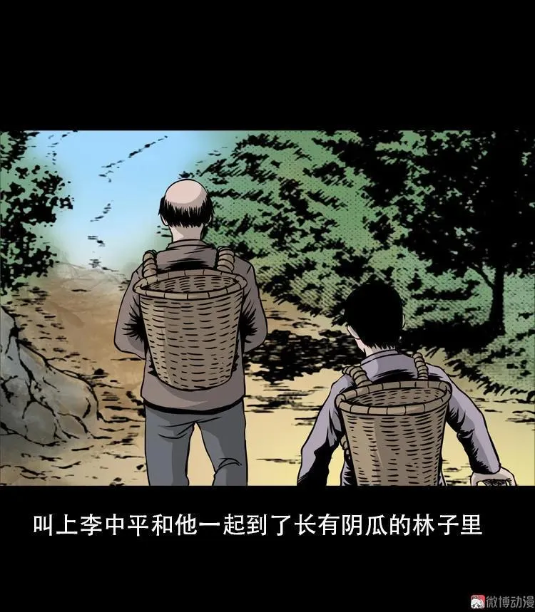 北瓜（下）89