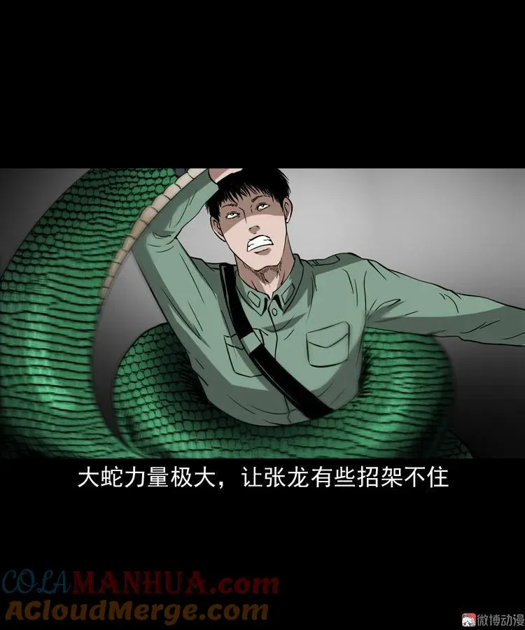 失踪案66