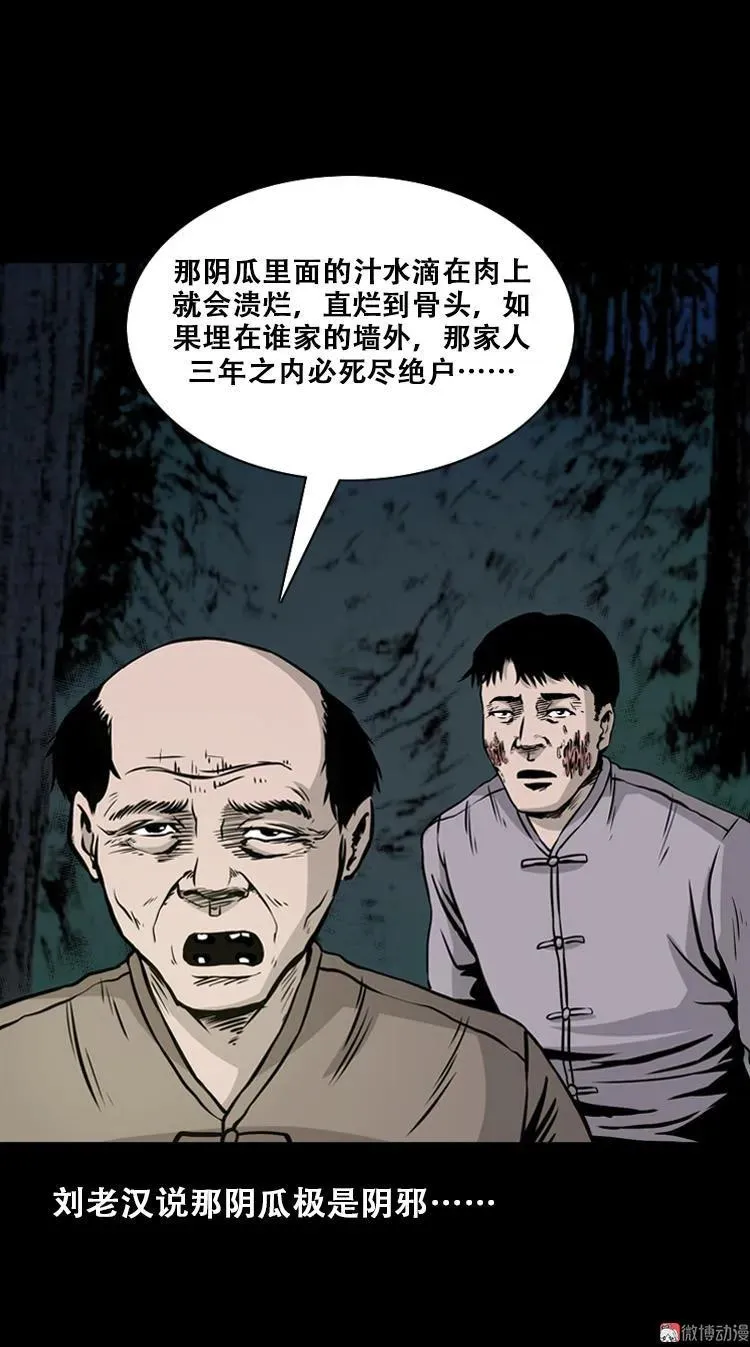 北瓜（下）80
