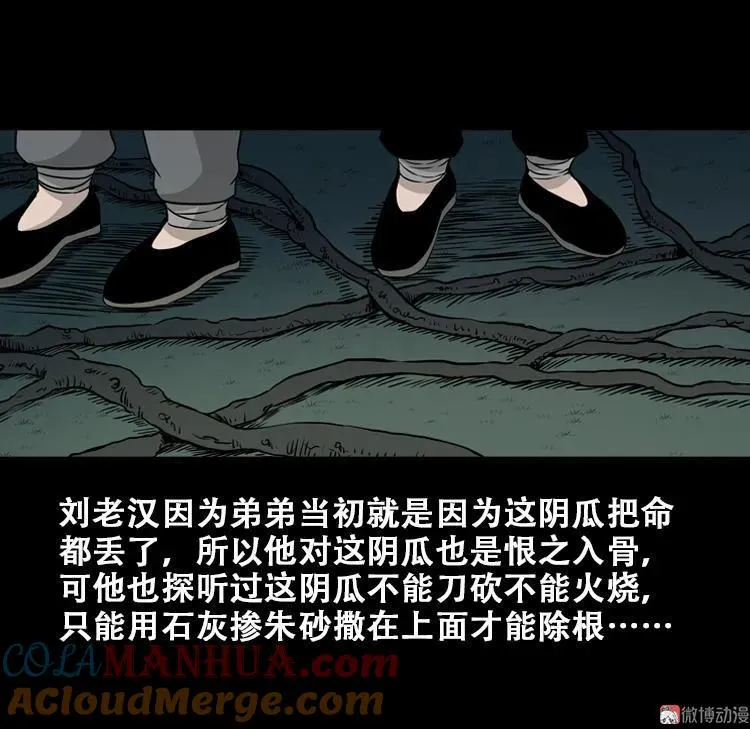 北瓜（下）87