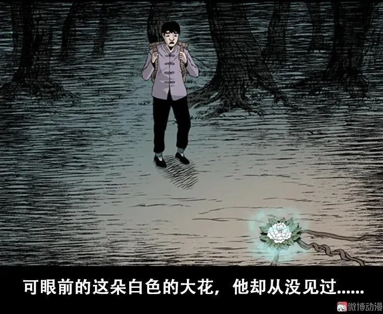 北瓜（上）11