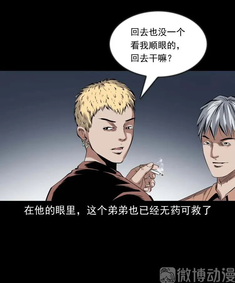 回来的逆子17