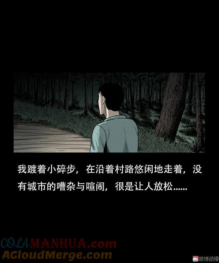 红布袋6