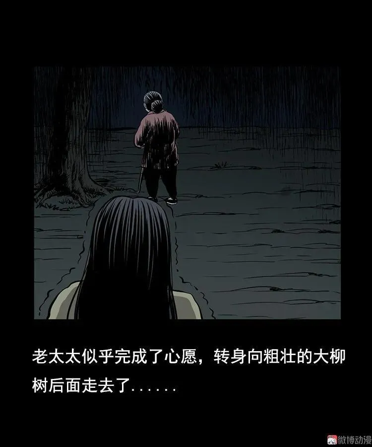 花柳树29
