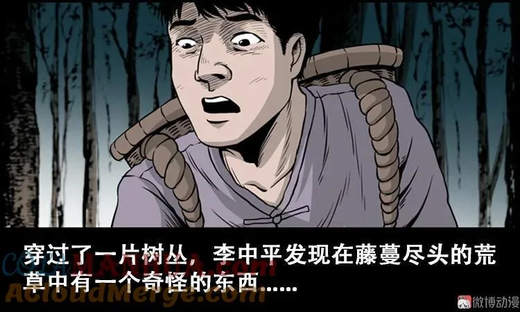 北瓜（上）18
