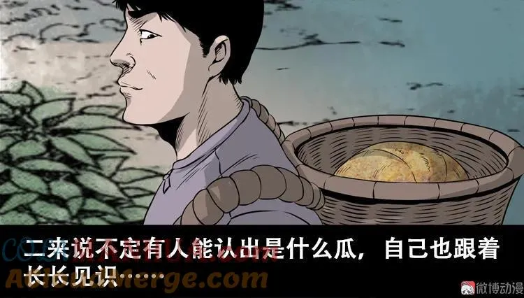 北瓜（上）27