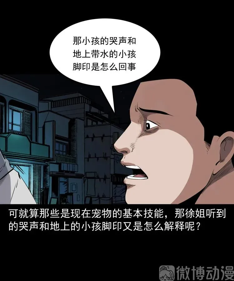 白头翁之猫灵94