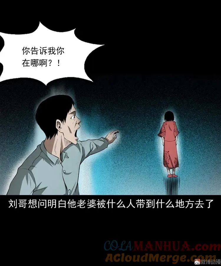 亡妻的下落39