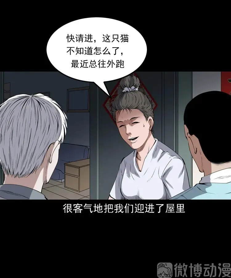 白头翁之猫灵14