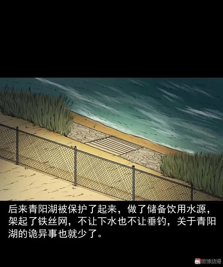 青阳湖诡事85