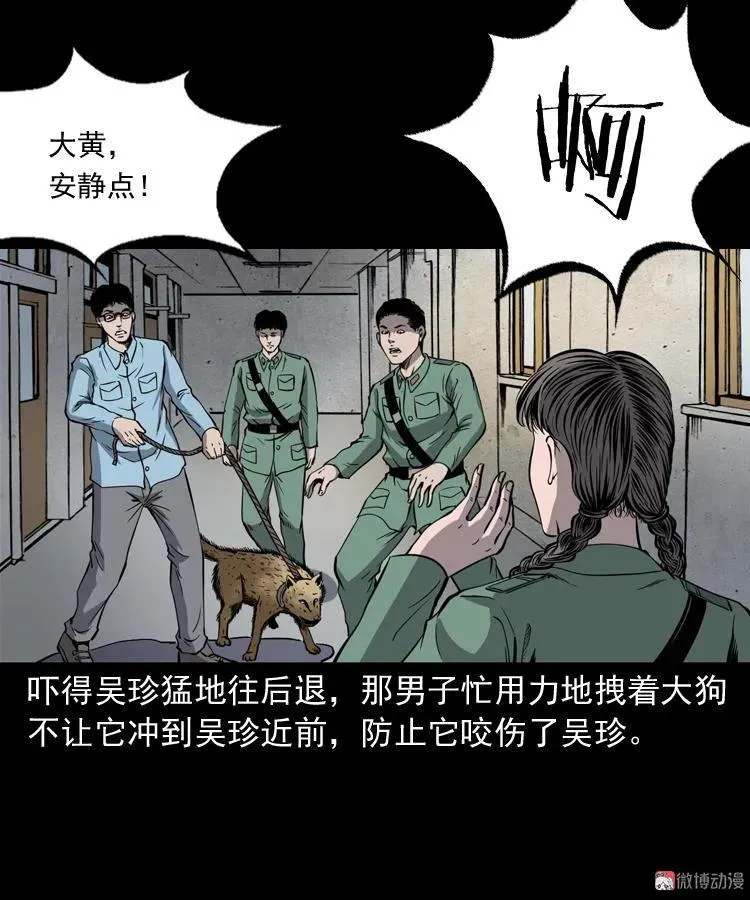 消失的妻子6