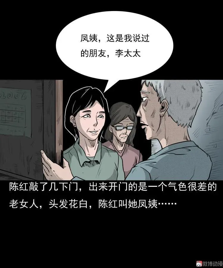 驻颜汤28