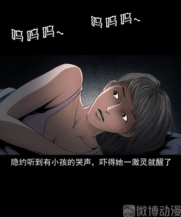 白头翁之猫灵29