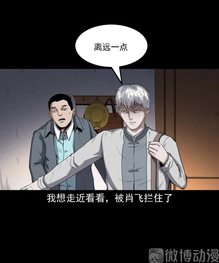白头翁之招错魂65
