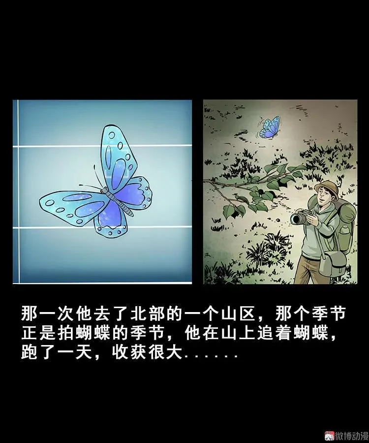 人面獾2