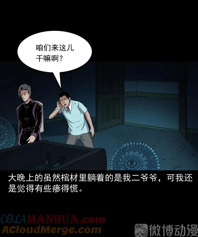 白头翁之诈尸下集24