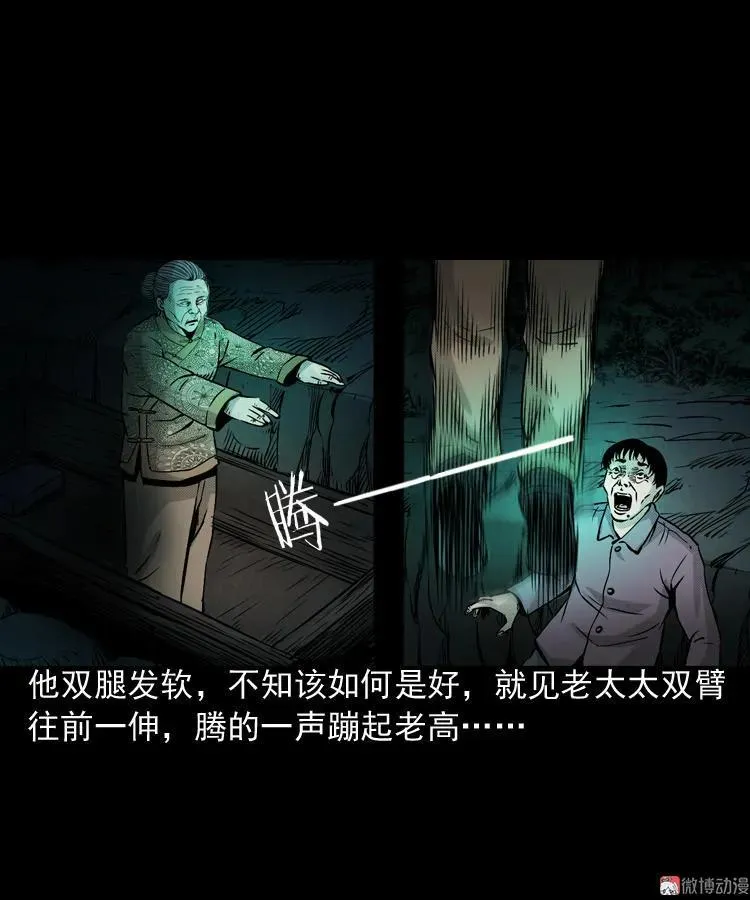 僵尸老太太34