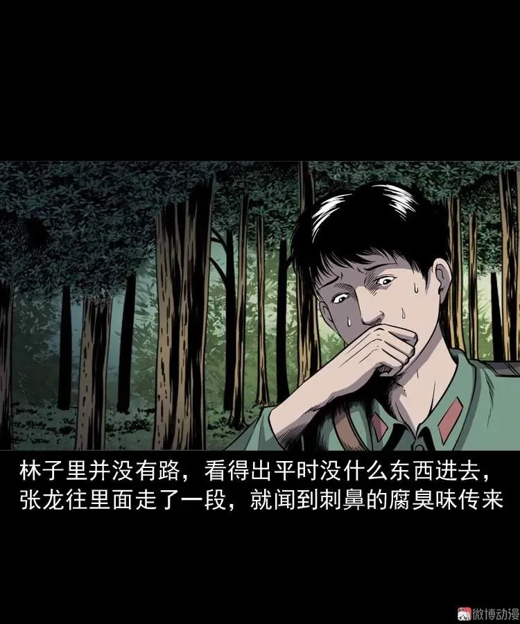 失踪案 253