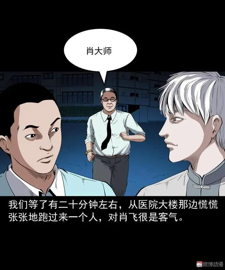 白头鬼之客人77