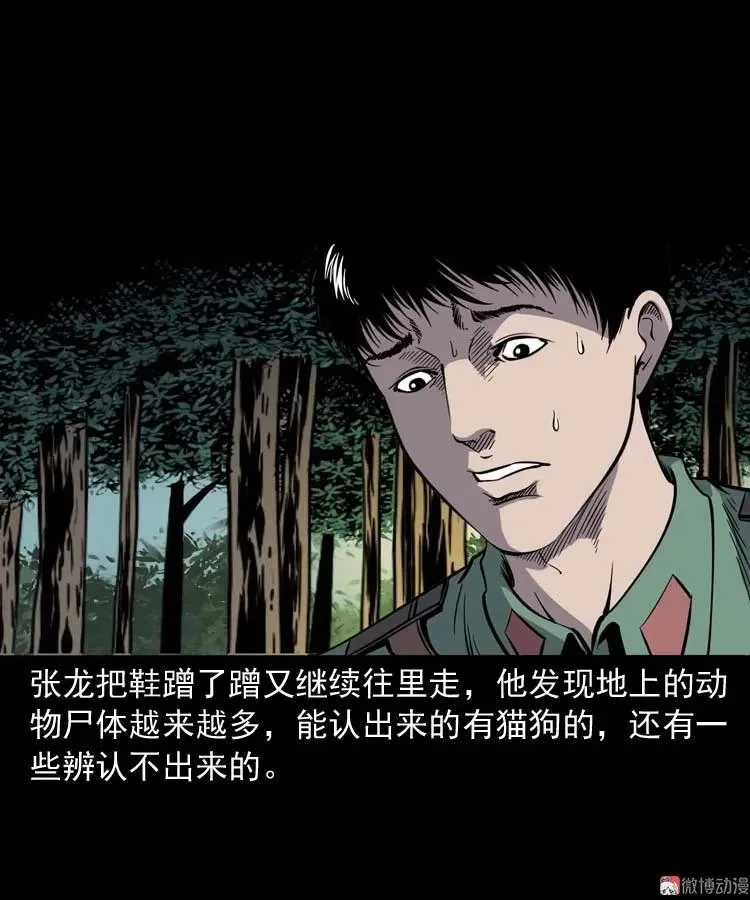 失踪案 257